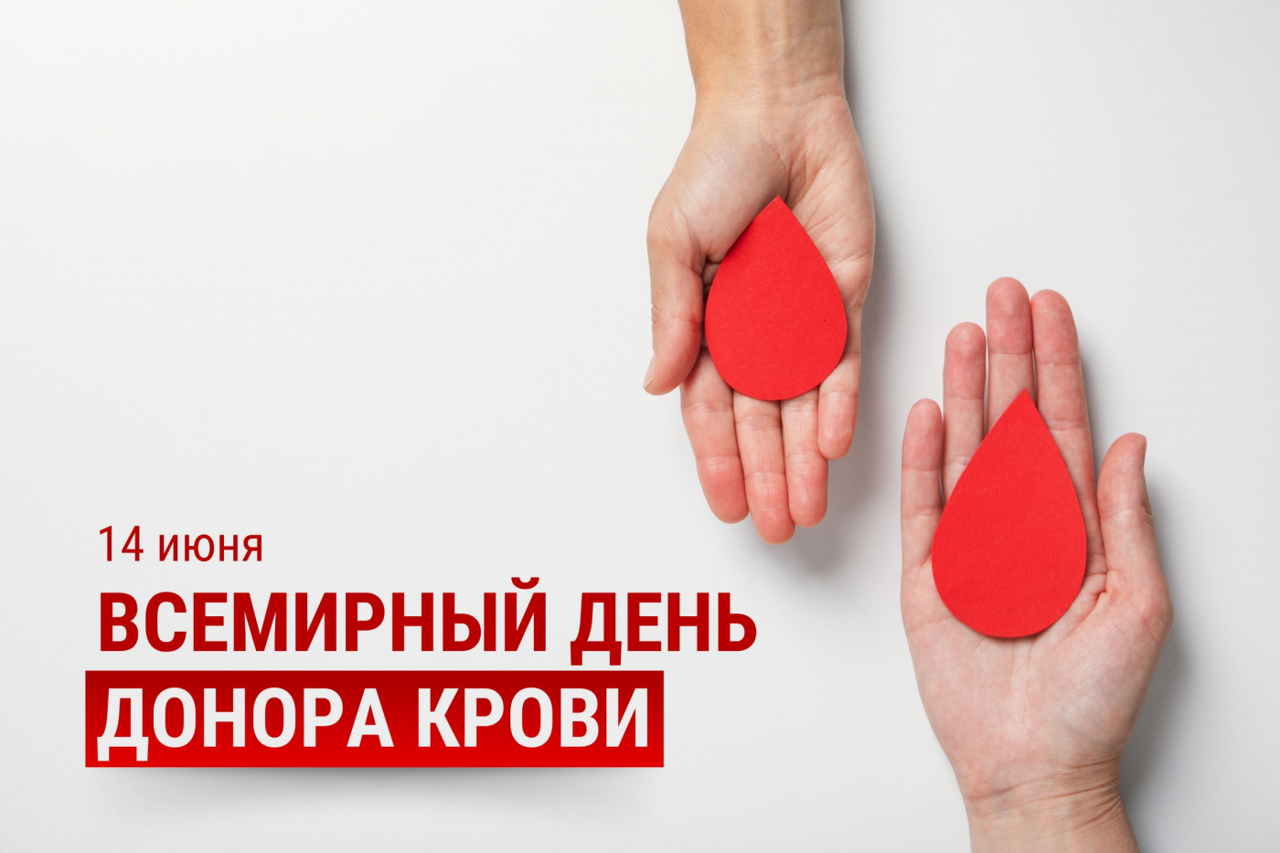 Профилактика с БНТУ: Всемирный день донора крови